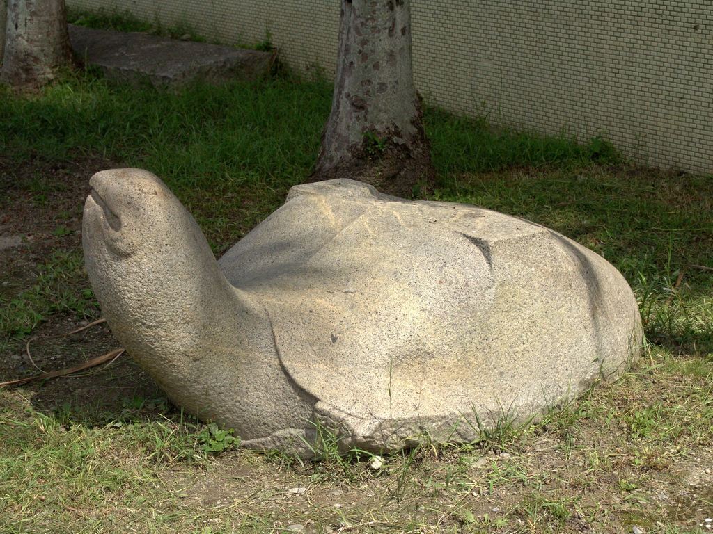 Black Stone Turtle Raising Its Head